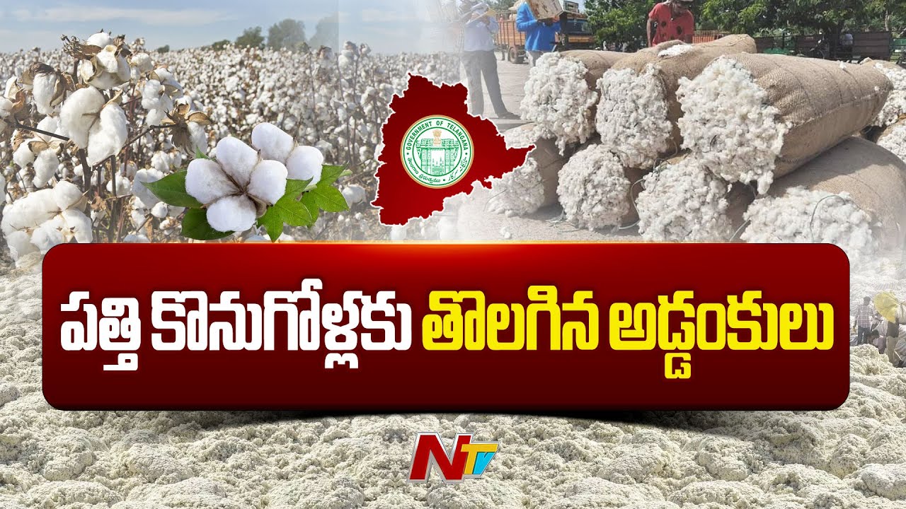 CCI, Ginning Mills to begin Cotton Procurement this week: Minister Tummala | NTV Telugu