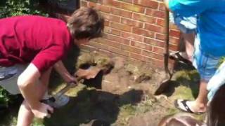 Digging up time capsule
