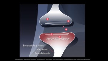 NeuroMood PurePack QuickCap
