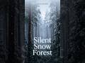 Silent Snow Forest | Silent Snowfall