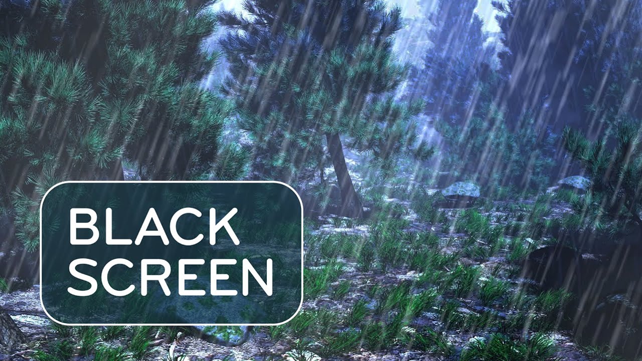 White Noise Black Screen Rain Sounds for Sleeping 🌧️ Good night!