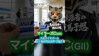 【マイラーズC 競馬予想 Vol 3】馬券生活者の競馬予想