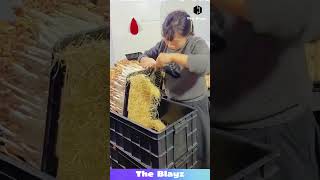 Why Is He Cleaning The Roots Like This?! Smart Gardening Trick!