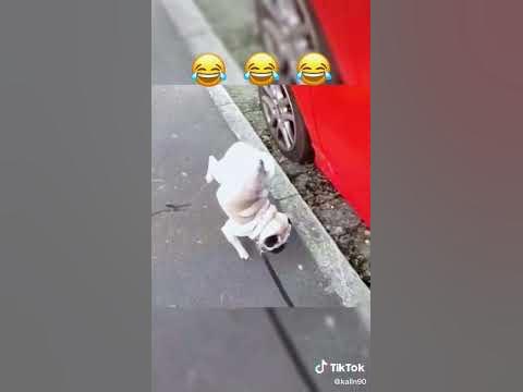 прікол - YouTube