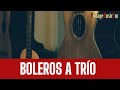 BOLEROS A TRÍO, Boleros desde México y Cuba con los mejores intérpretes de Antaño Música Romántica.