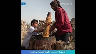 إنتاج زيت السمسم بطريقة تقليدية في اليمن