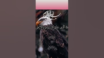 "آياتٌ مباركةٌ تهتزُّ لها المشاعر: سورة السجدة تذكرةٌ للعباد بواجبهم تجاه الله"#نور_القرأن_سيف