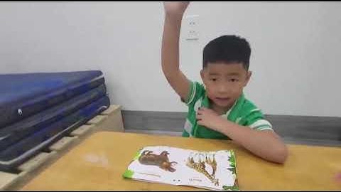 Tiếng Anh Giao Tiếp Thiếu Nhi Tại Phan Thiết: Tony talking about Animals