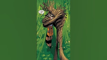 How did Groot Meet Rocket Raccoon?