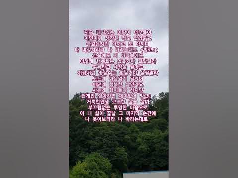 삶의 희망을 주는 너무나도 좋은가사 #거북이 #빙고 - Youtube