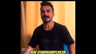 Vine Kralı