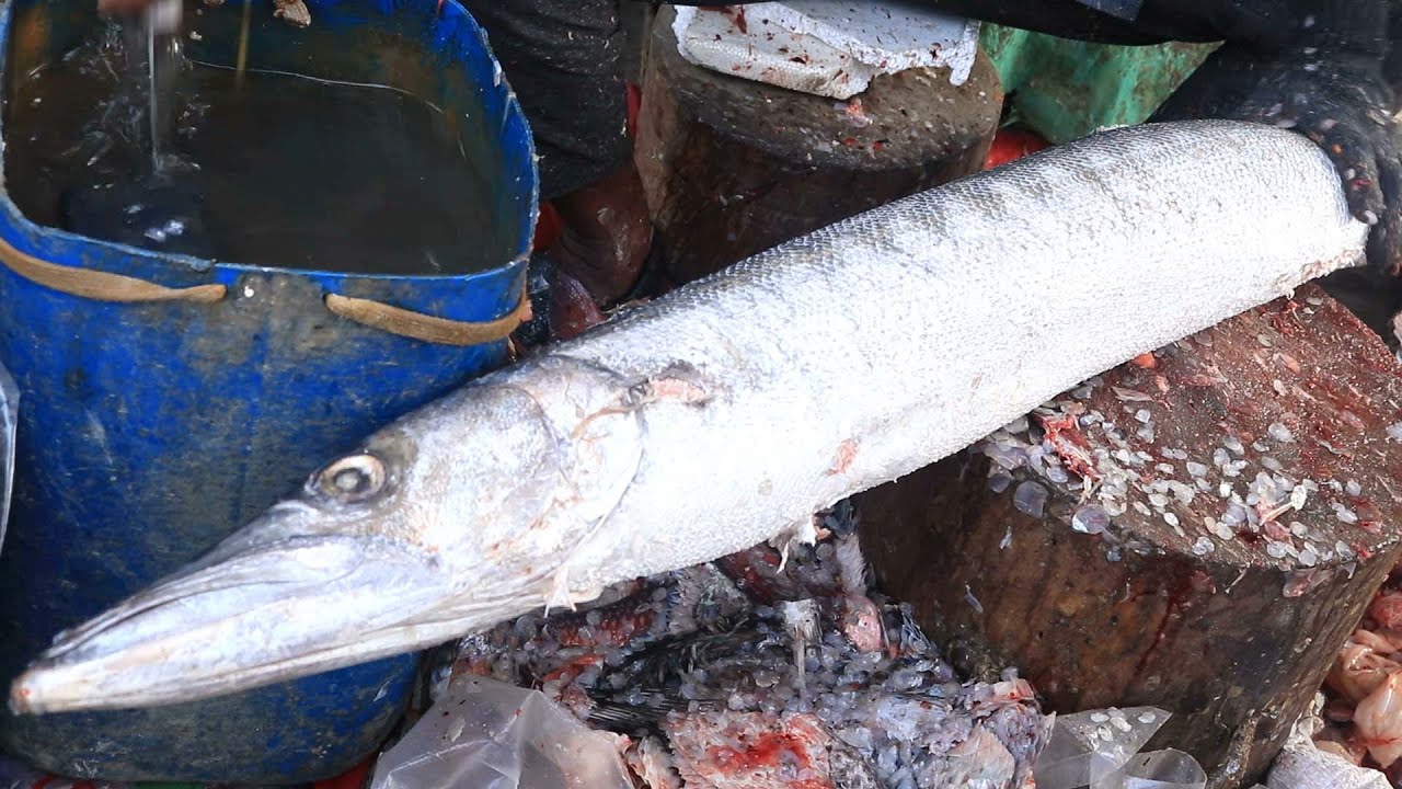 Fast Fish Cutting | Fish Cutting Skills | Fish Cutting Skills | BD Fish ...