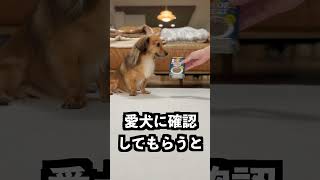 これ本当に食べ物?アイルランドのユニコーン肉がヤバい #犬 #怖い #珍しい