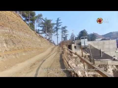 1 13 ბოტანიკურის მიმდებარე