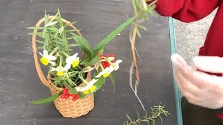 ローズマリーのお手軽水挿しと植え付け Youtube ローズマリーのお手軽水挿しと植え付け Youtube