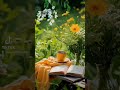 ١٧ أكتوبر ٢٠٢٤ ١٧ أكتوبر ٢٠٢٤