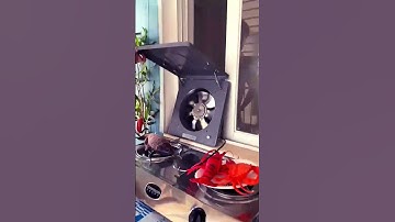Thumbnail of Exhaust Fan That Every Home Chef Needs 🍳💨 #kitchen #silentfan #smokefountain #gascooker