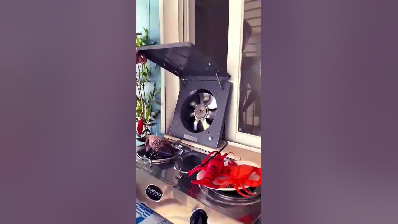 Exhaust Fan That Every Home Chef Needs 🍳💨 #kitchen #silentfan #smokefountain #gascooker
