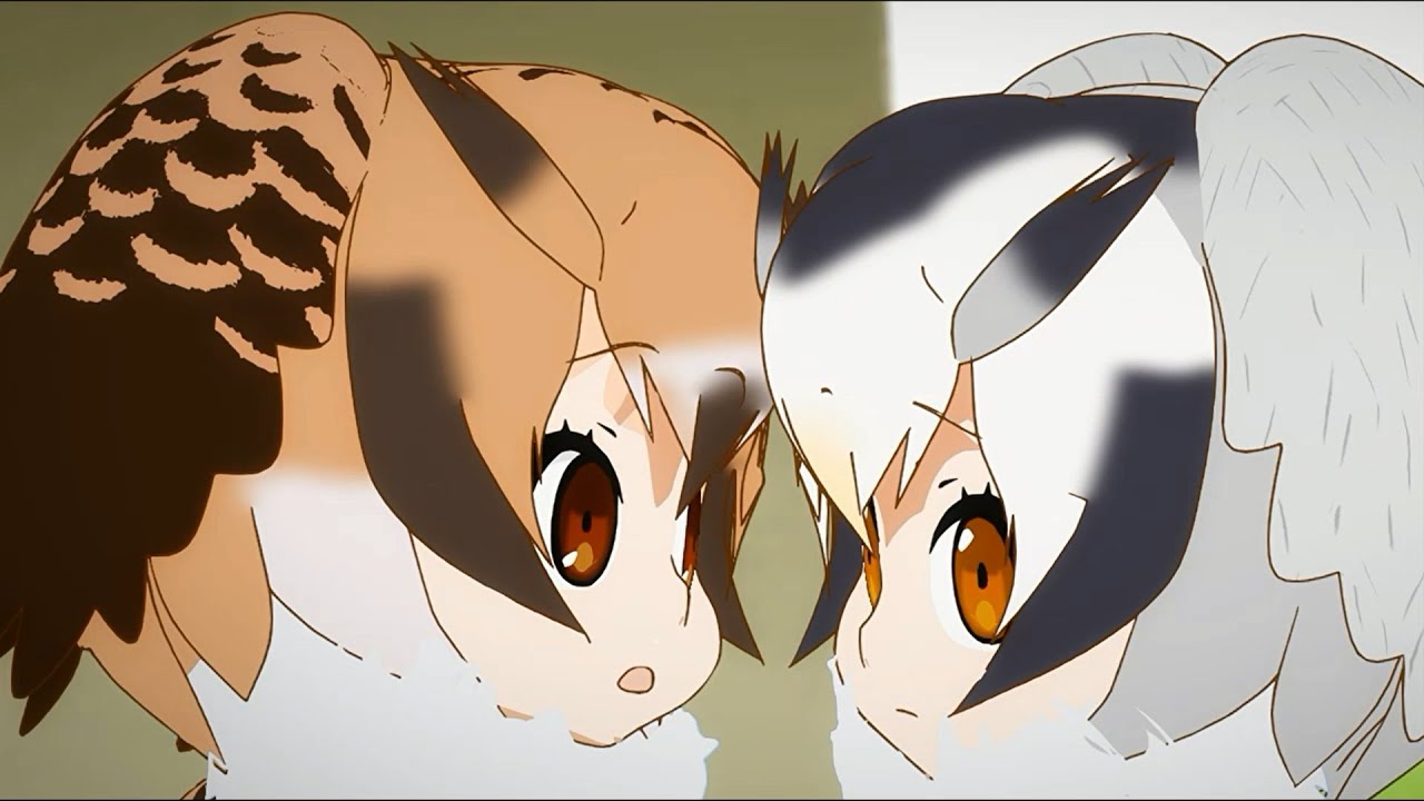 Re nama kemono. Kemono friends manul. Kemono friends ястреб. Kemono friends Совы. Kemono friends Манга