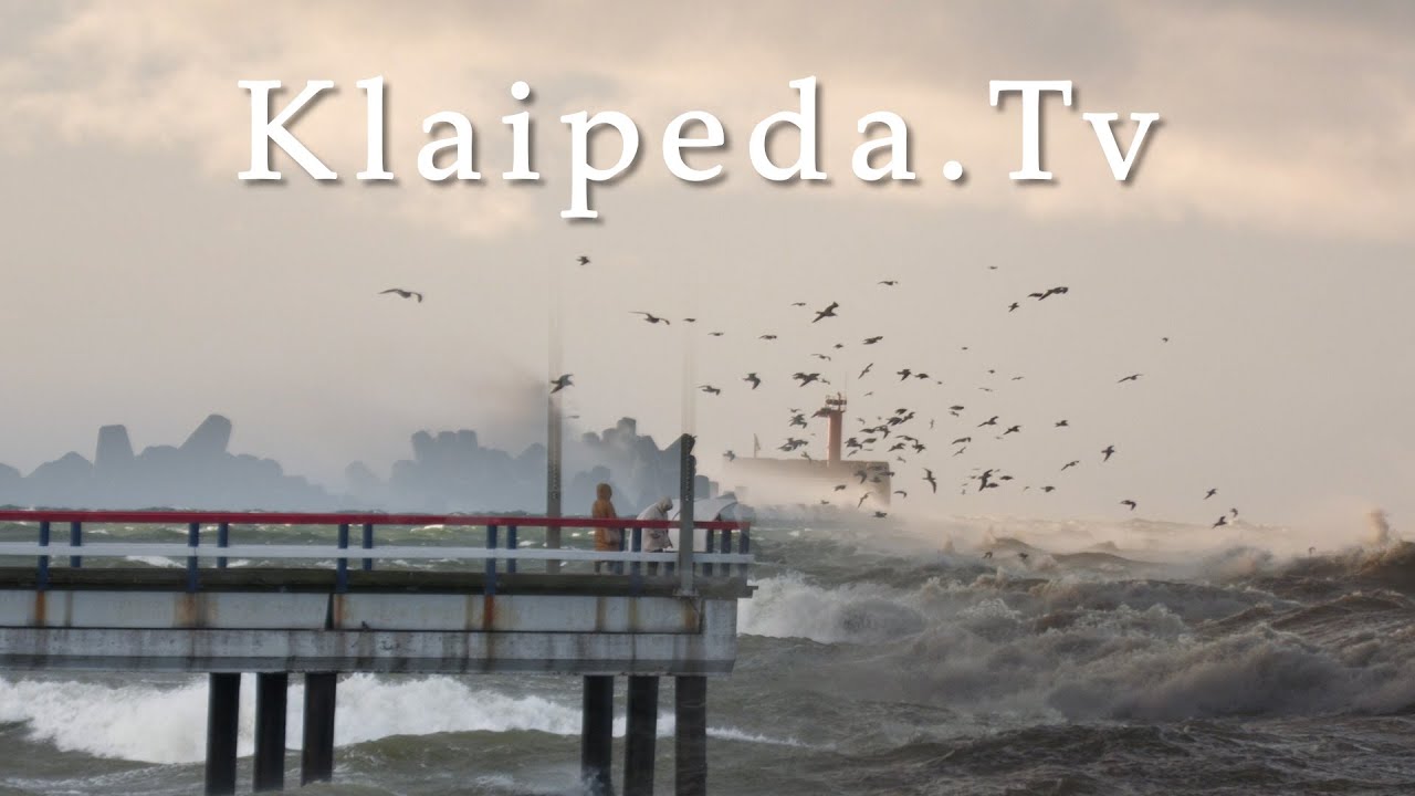 Vėjo ir bangų tandemas: nuo Palangos iki Liepojos (LV).
