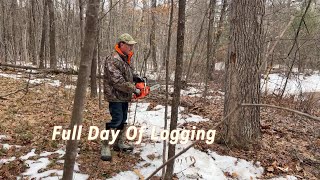Full Day Of Logging