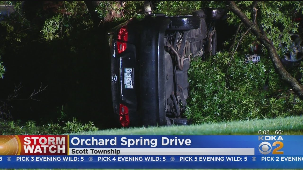 Downed Tree Lands On Car In Scott Twp.