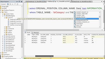 3 DynamicInsert1-My SQL Server 2008-Khmer Videos IT