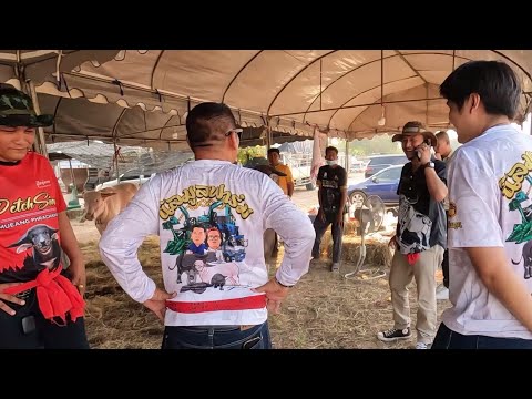 ผลสลากกินแบ่งรัฐบาล วันที่ 1 พย. 2567