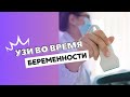 УЗИ ПРИ БЕРЕМЕННОСТИ #doctorberezovska  #olenaberezovska #беременность  #УЗИ