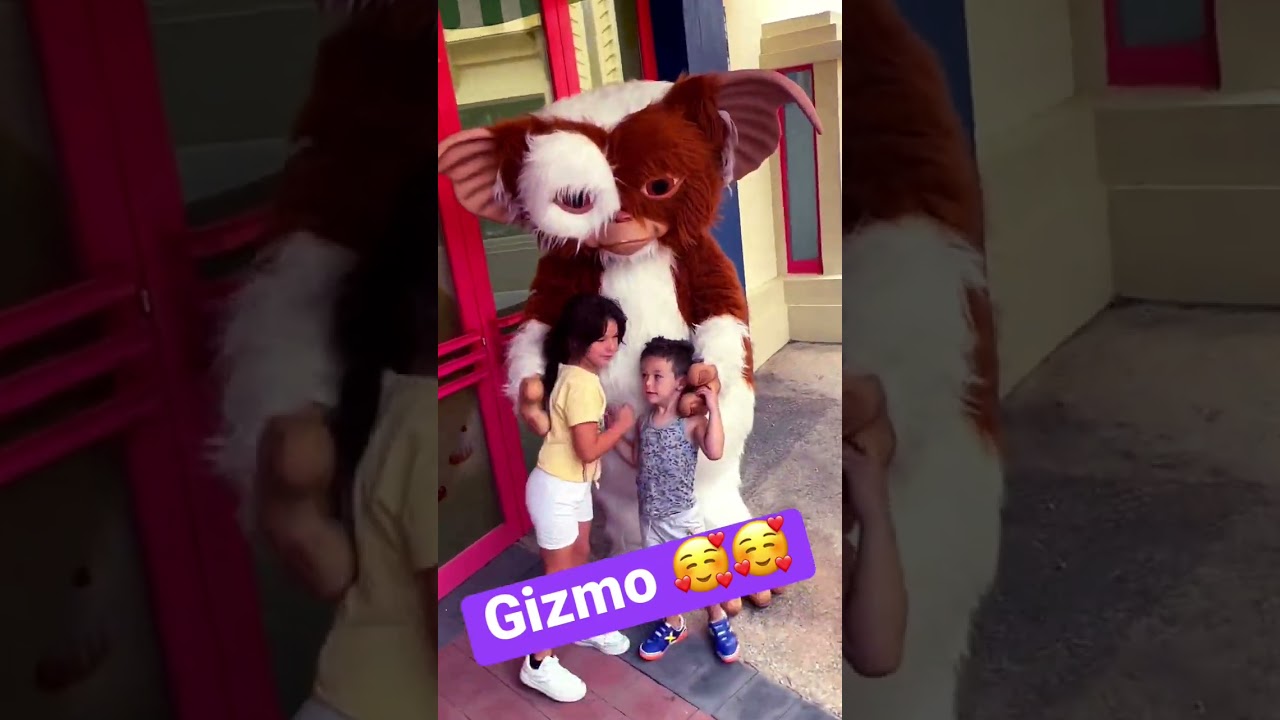 Gizmo (Gremlins ) 🥰🥰