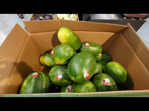 Watermeloen bij Lidl Terneuzen