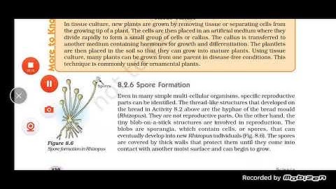 Class X Science 14 12 2021 by Ms Mridulata Upadhyay How do organsims reproduce