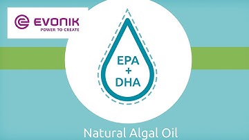 Natural marine algae as high quality source of omega-3 – An innovation by DSM and Evonik | Evonik