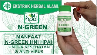 Manfaat N-GREEN HNI HPAI | Kaya Serat & Anti Virus