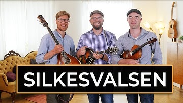 Nordic Folk Music on Mandolin, Octave Mandolin & Fiddle - Silkesvalsen