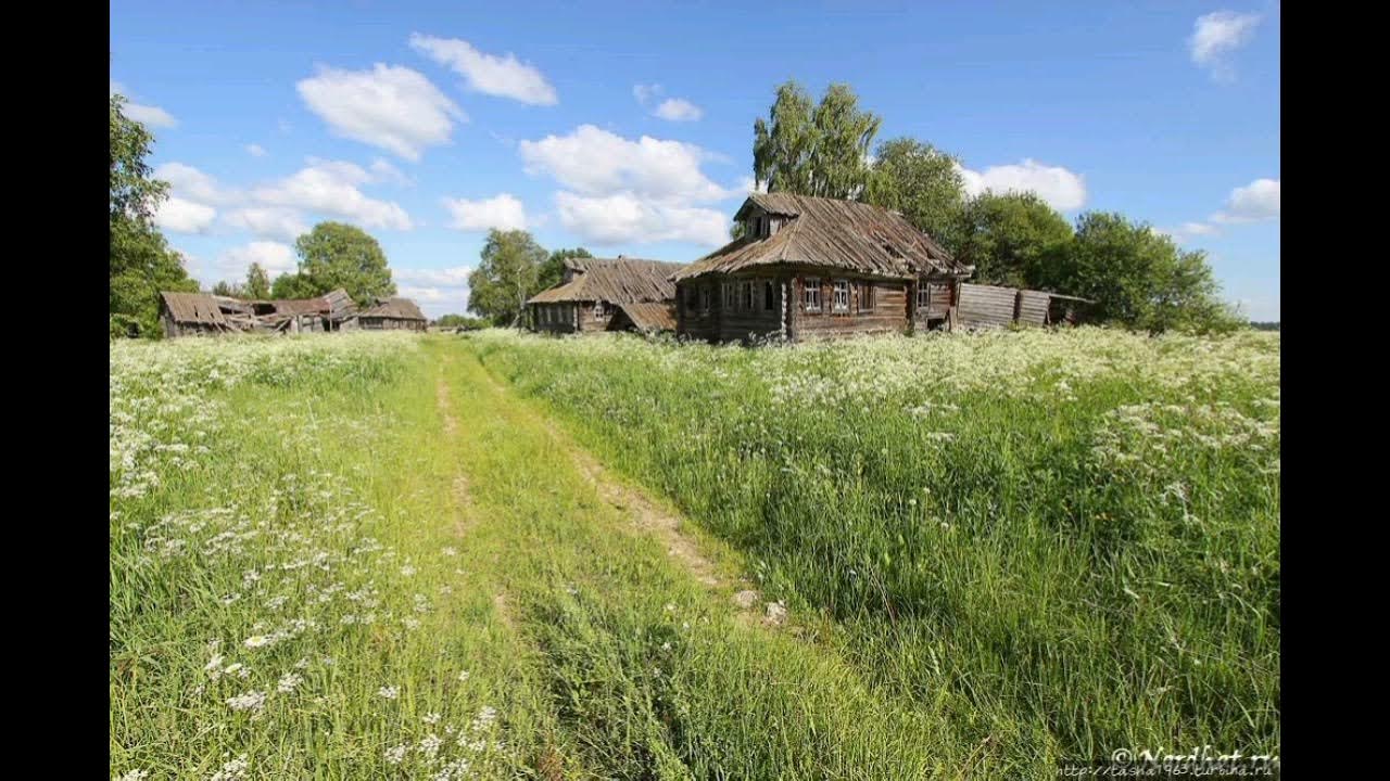 Милашки село. Деревня Финев луг. Деревня деревеньки Ярославской области. Заросшая бурьяном деревня. Деревня Луги Тверская область.