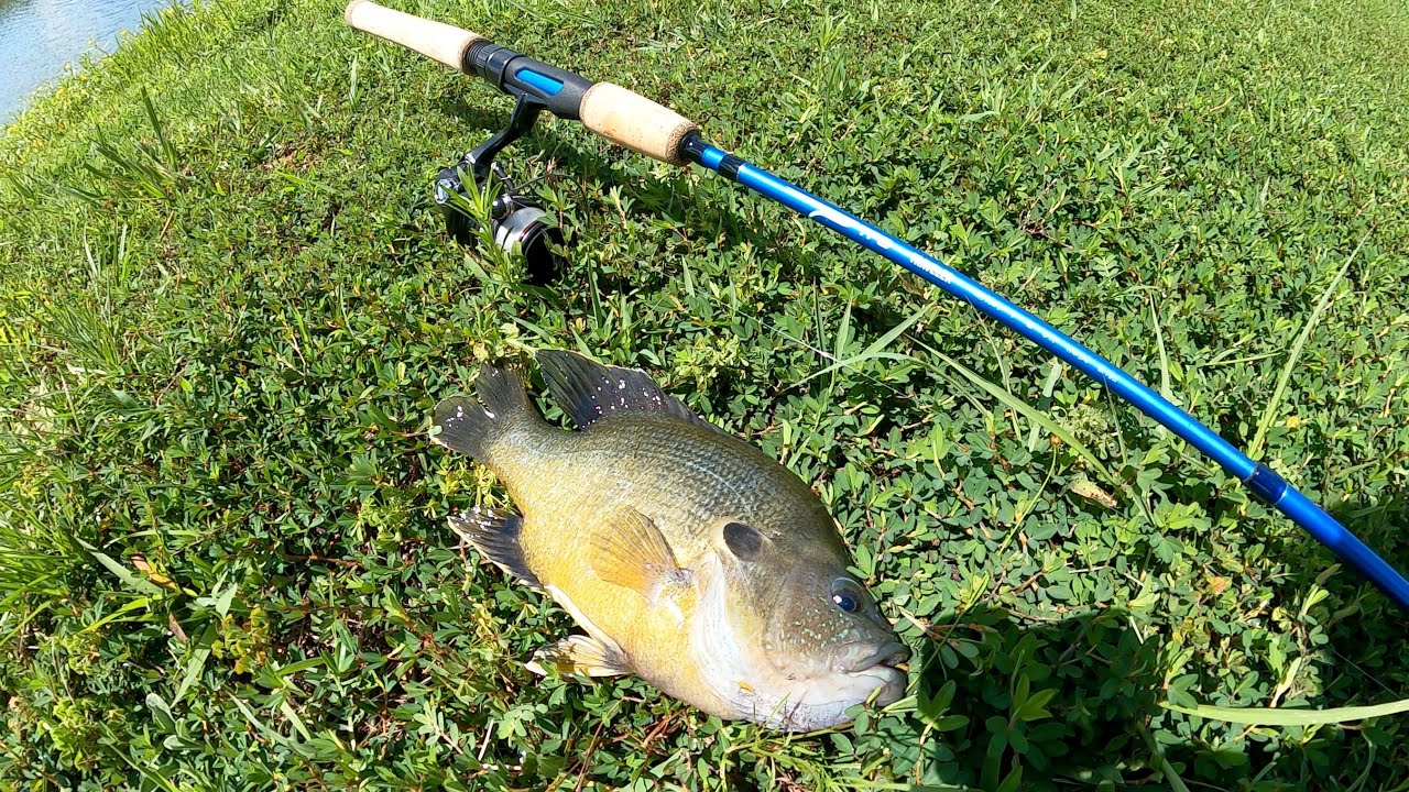 TFO TRAVELER ROD REVIEW. IT IS THE BEST TRAVEL ROD IVE FISHED. YouTube