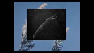 David Rylands Springboard Diving (Official)