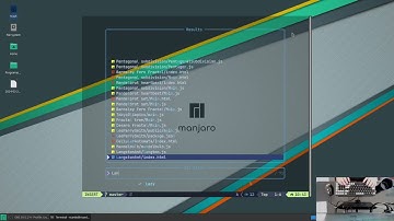 Langston Ant Fractal