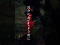 ロストアンブレラ - Tsukishima Kei ( 歌詞 ) #lirycs #lostumbrella #trend