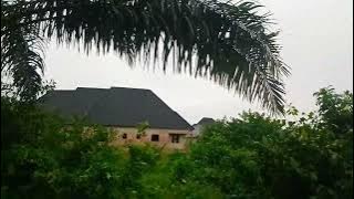Land With C-of-O For Sale At Sapele Road, Benin..(N3.5m Negotiable)..Osaze.07055076156