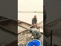Efficient Fish Harvesting and Sorting at a High-Volume Aquaculture Farm