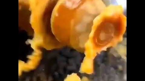 Amazing Video And Work Machine |NEXT LEVEL TECH| 😇PLS DO SUBSCRIBE😇|Amazing TECH |TechStride Tech HD