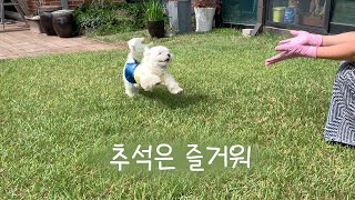 [ENG SUB] An Even More Exciting Day With Mom