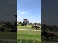 #shorts #horse #race #horseracing