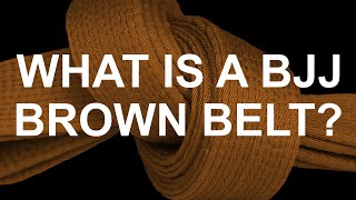 What is a BJJ Brown Belt?