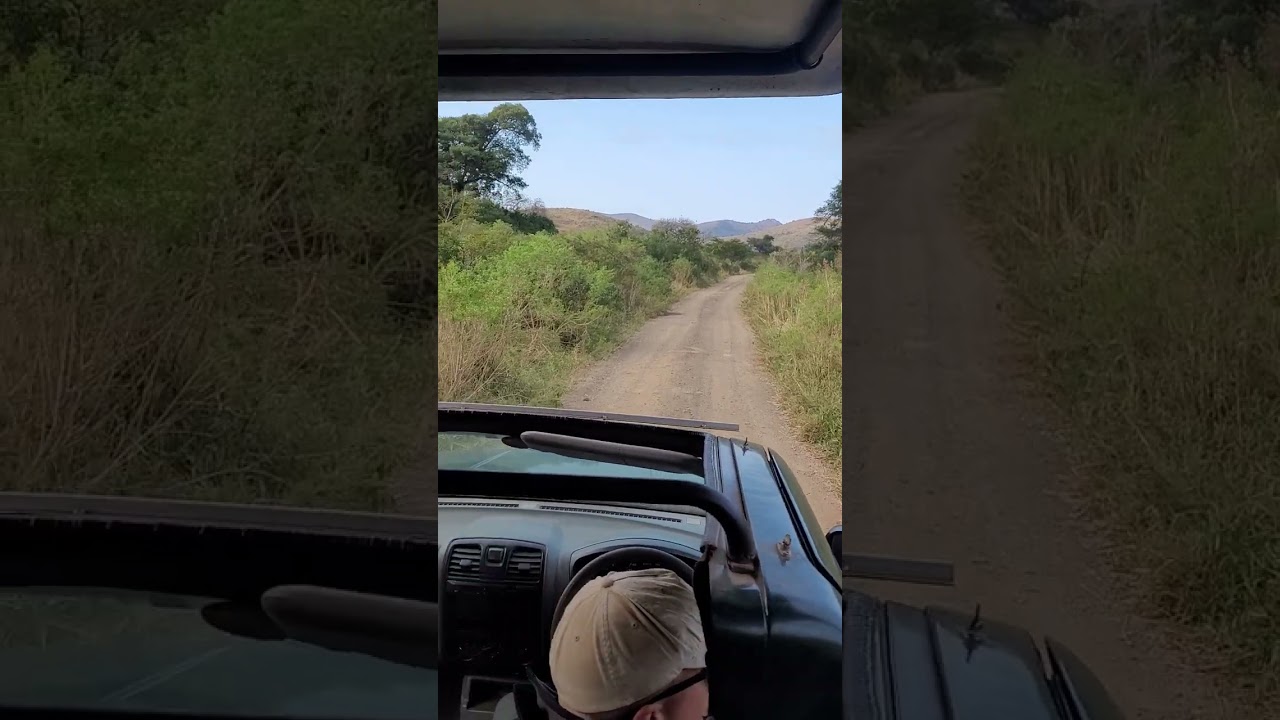 day 3 safari