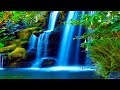 Heavenly Background Music - Peaceful Relaxing Music Instrumental - Waterfall Relaxation Video