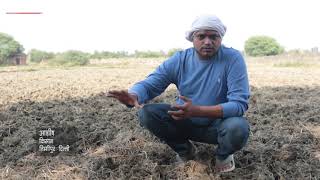 Can the Pusa Bio-Decomposer solve the problem of stubble burning in North India ?