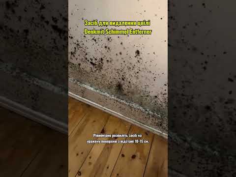 Средство для удаления плесени Denkmit Schimmel Entferner 750 мл., видео 1